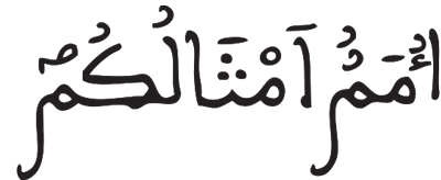 الأنعام 39