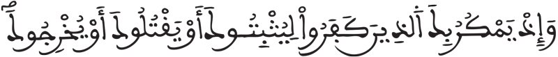 الأنفال 30