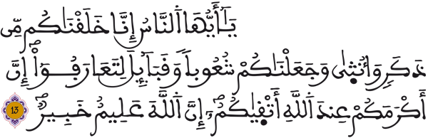 الحجرات 13
