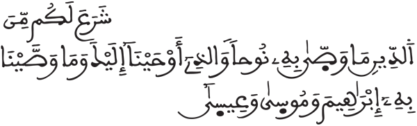 الشورى 11