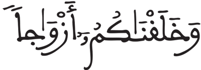 النبأ 8
