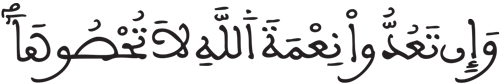 النحل 18