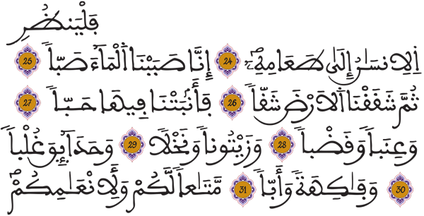 عبس 24 32