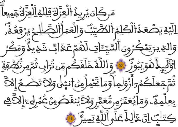 فاطر 10 11