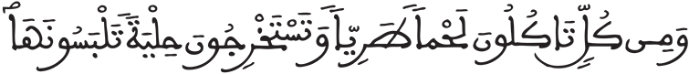 فاطر 12 13