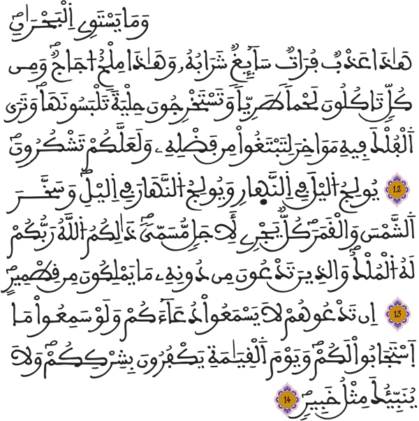 فاطر 12 14