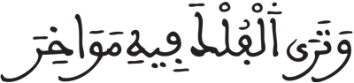 فاطر 12 17