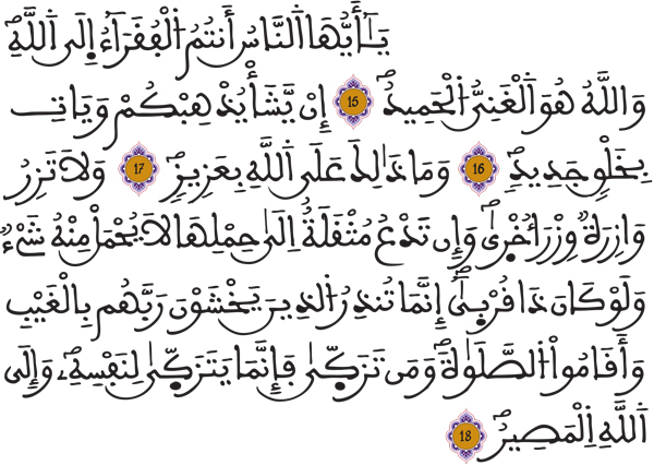 فاطر 15 18