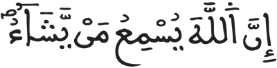 فاطر 22 2