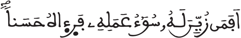 فاطر 8 2