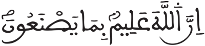 فاطر 8 5