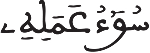 فاطر 8