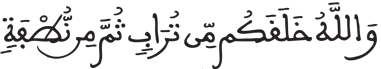 فاطر 11 2