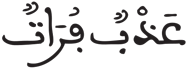 فاطر 12 6