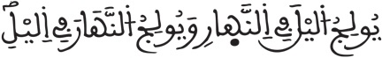 فاطر 13 2