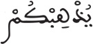 فاطر 15 11