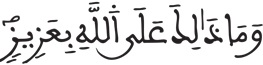 فاطر 17