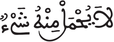 فاطر 18 4