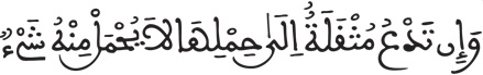 فاطر 18 9