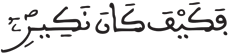 فاطر 26 3