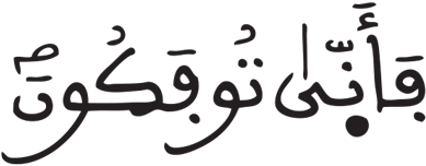 فاطر 3 6