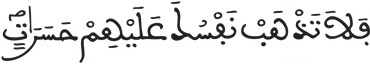 فاطر 8 4