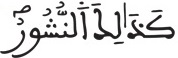 فاطر 9 12