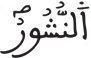 فاطر 9 13