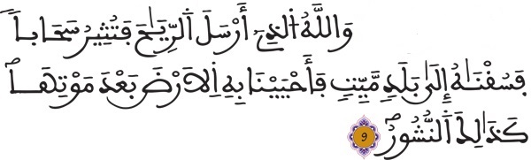 فاطر 9 15