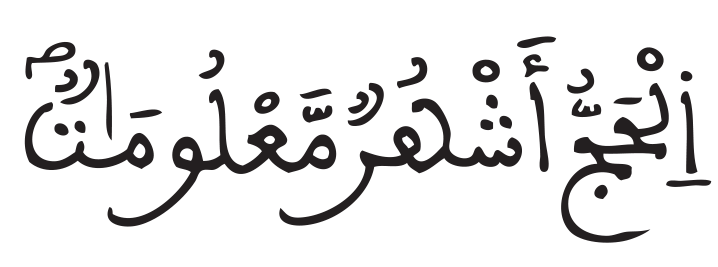 البقرة 196