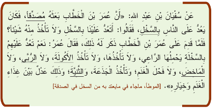 السخل