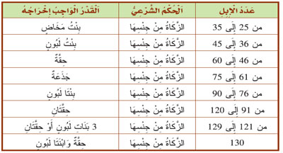 زكاة من جنسها