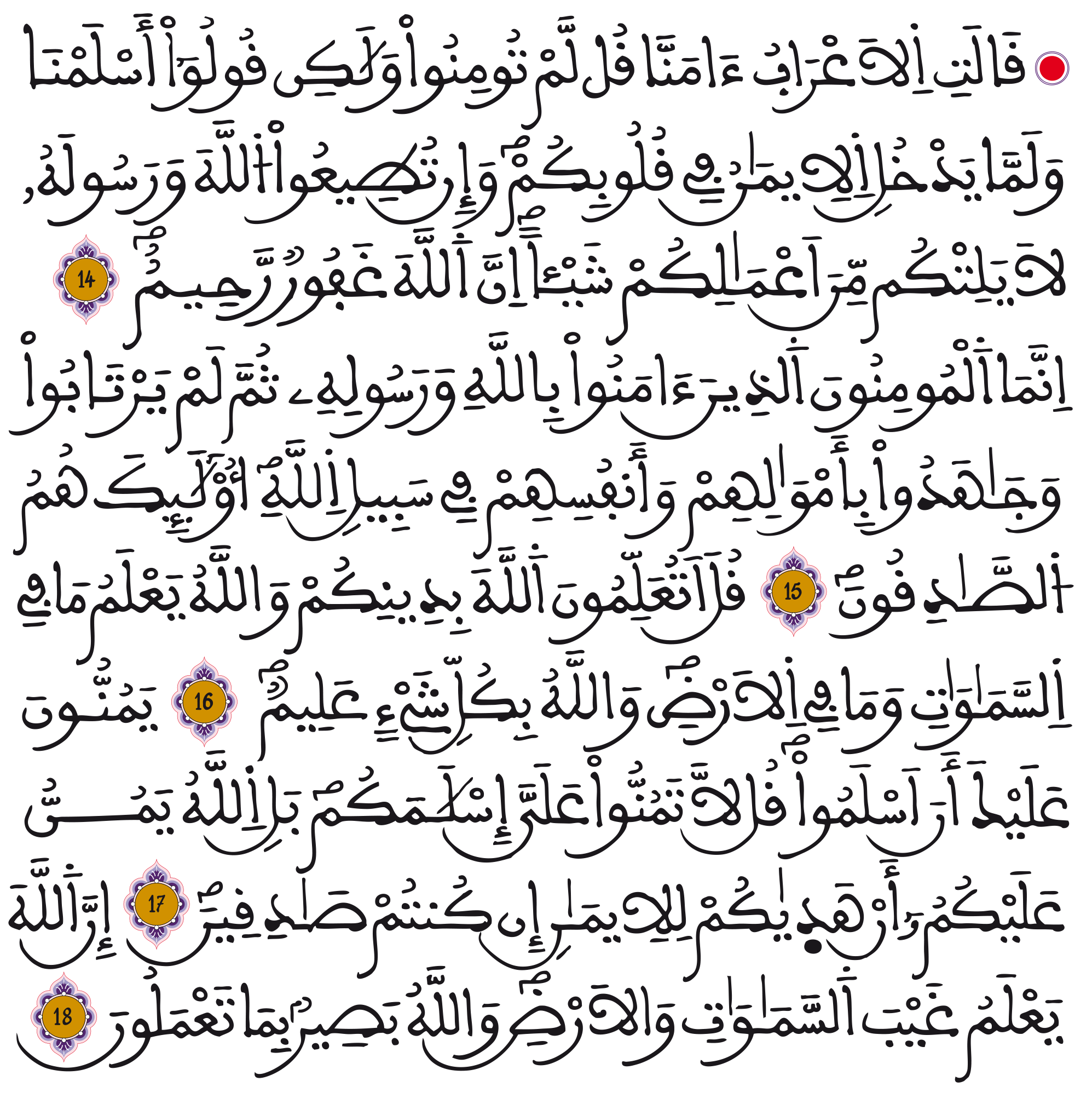 sorat alhojorat 14 18