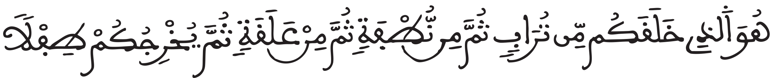 sorat ghafir 67
