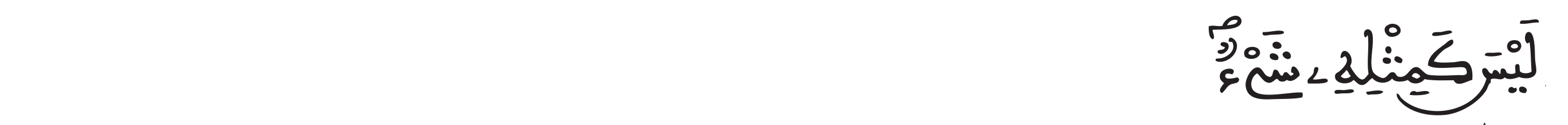 الشورى الآية 11