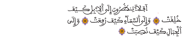 الغاشية الأيات 17-20