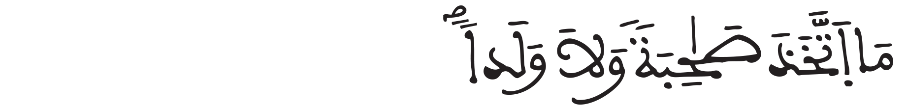 الجن الآية 3