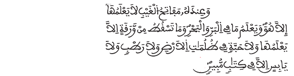 الأنعام الآية 60