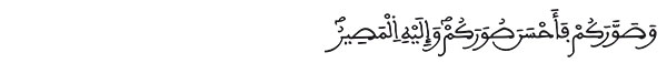 التغابن الآية 3