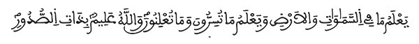 التغابن الآية 4