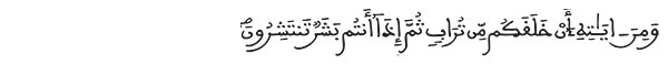 الروم الآية 19