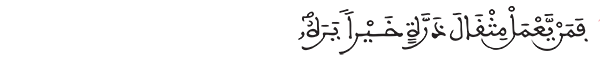 الزلزلة الآية 8