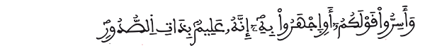 الملك الآية 14