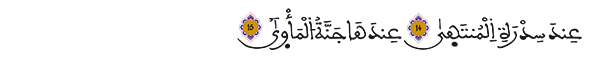 النجم الآيتيتن 14- 15
