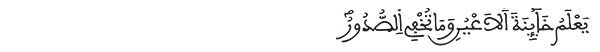 غافر الآية 19