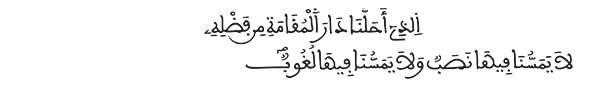 فاطر الآية 35