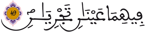 الرحمان 49