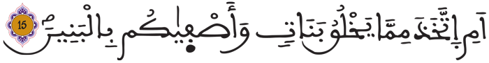 الزخرف 15
