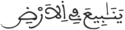 الزمر 20