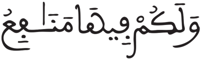 المومنون 21